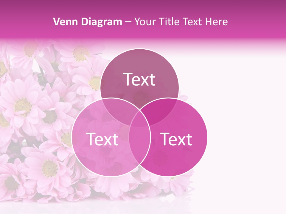 Colorful Greeting Pink PowerPoint Template