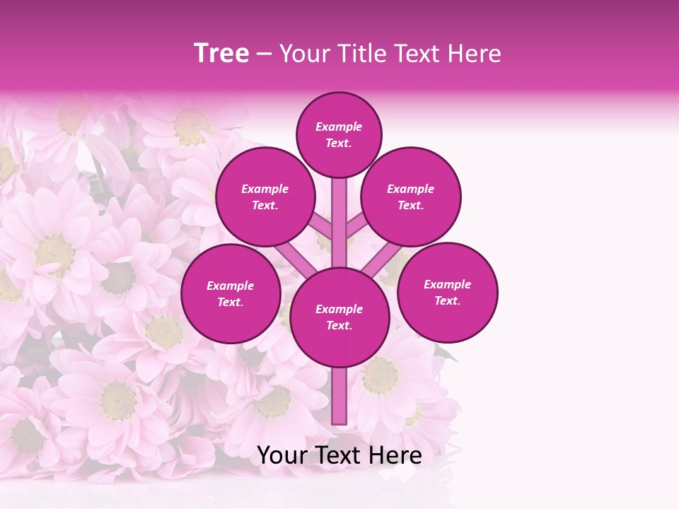 Colorful Greeting Pink PowerPoint Template