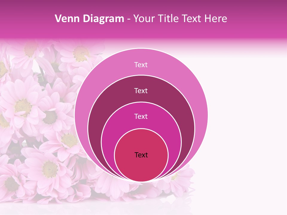 Colorful Greeting Pink PowerPoint Template