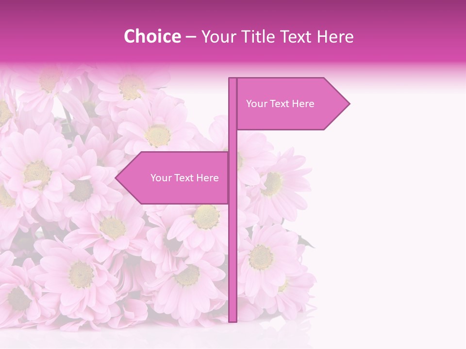 Colorful Greeting Pink PowerPoint Template