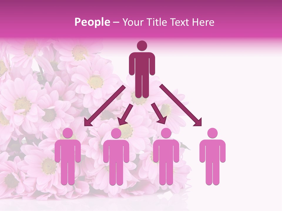 Colorful Greeting Pink PowerPoint Template