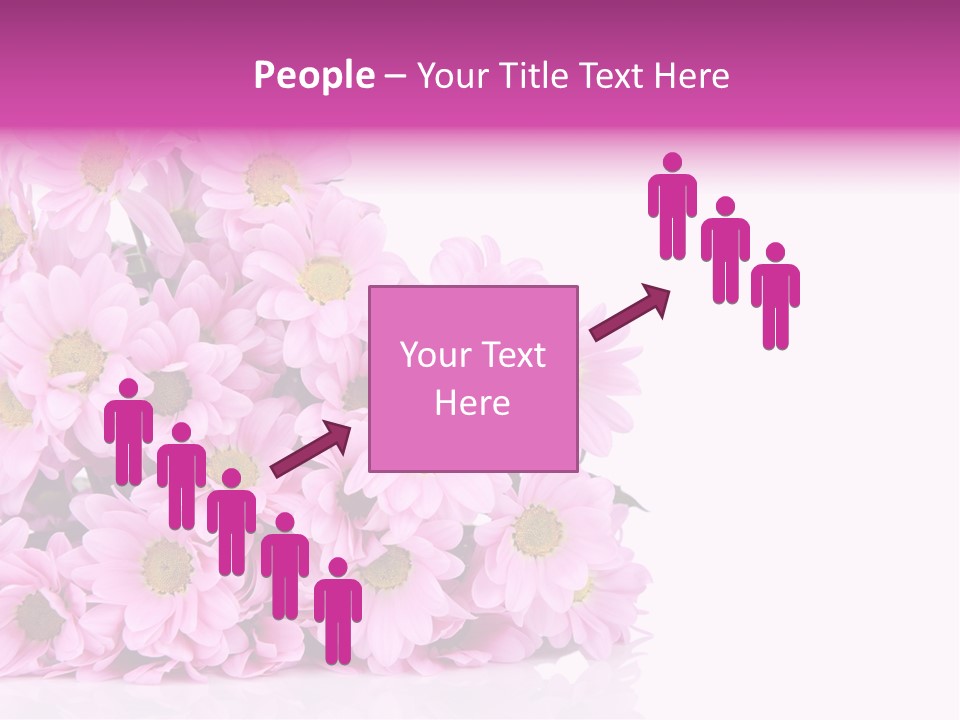 Colorful Greeting Pink PowerPoint Template