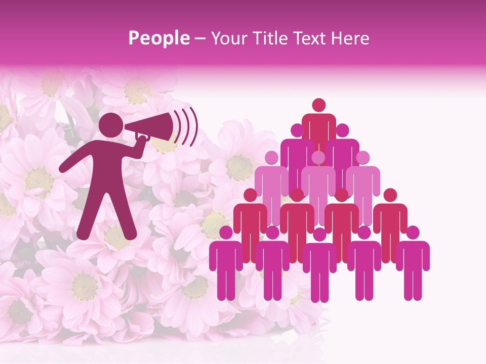 Colorful Greeting Pink PowerPoint Template