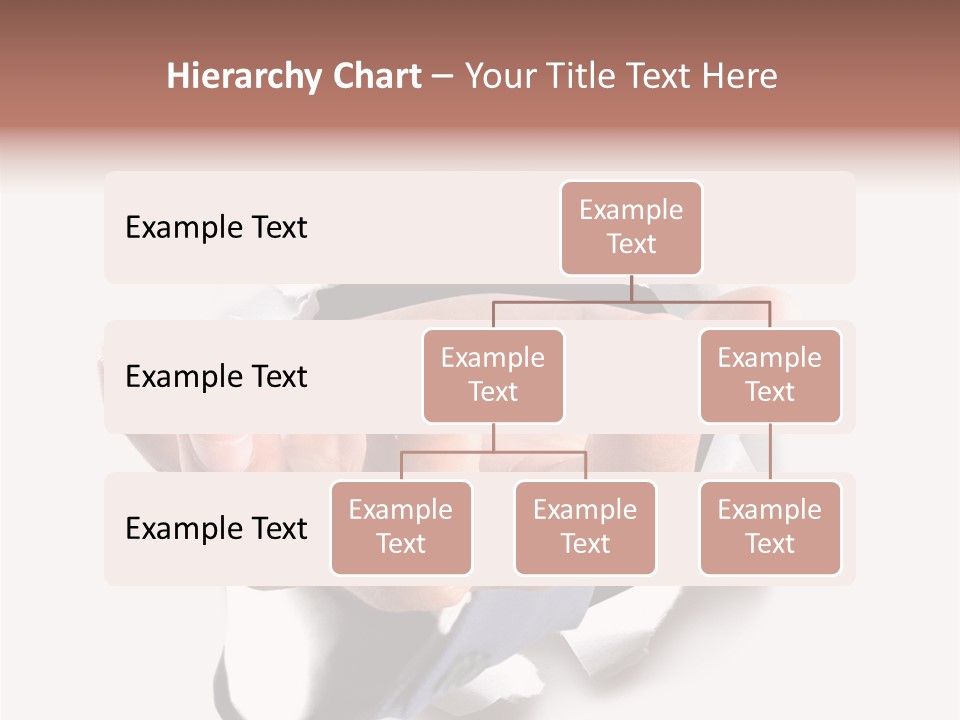 Manager Smile Male PowerPoint Template