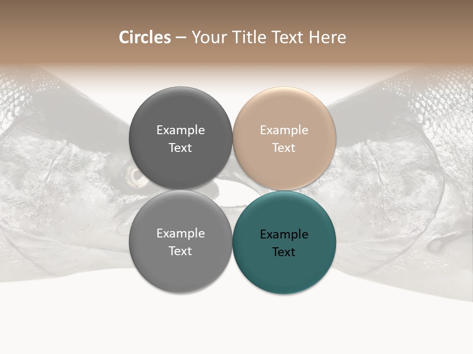 Fin Photography Hunting PowerPoint Template
