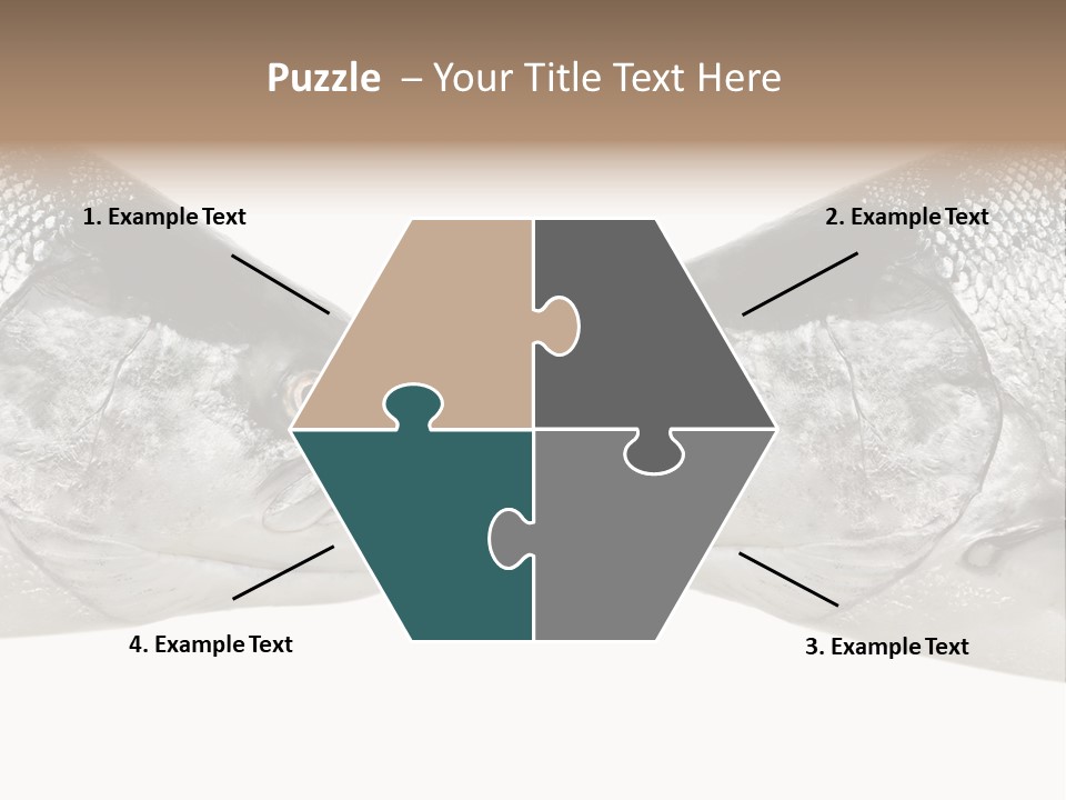 Fin Photography Hunting PowerPoint Template