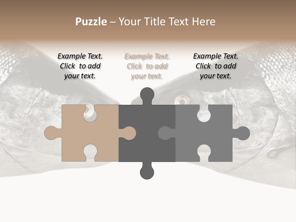 Fin Photography Hunting PowerPoint Template