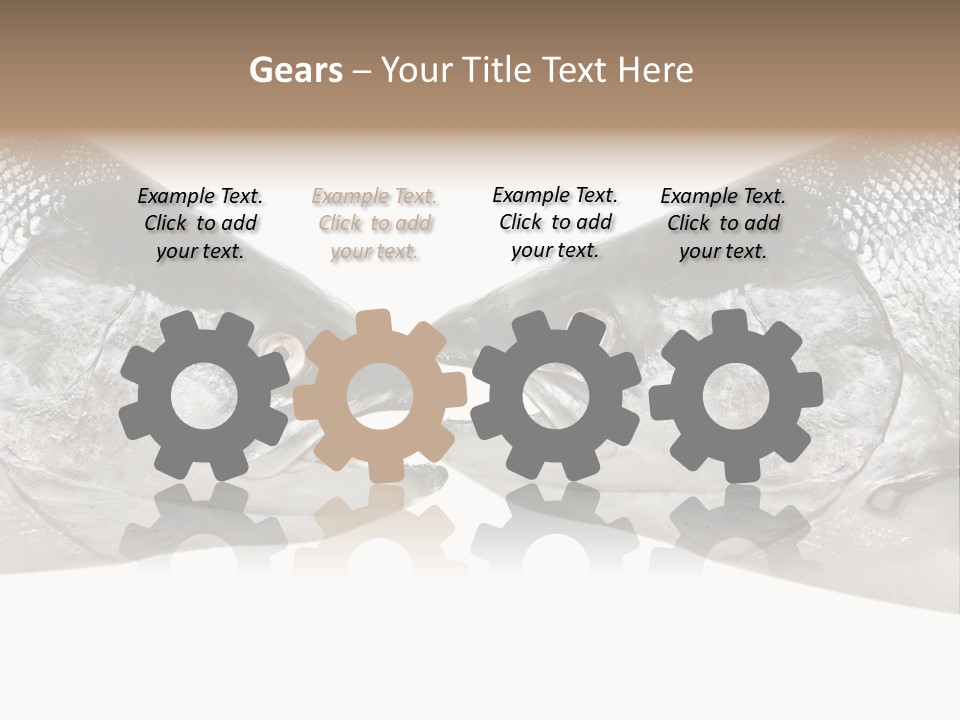 Fin Photography Hunting PowerPoint Template