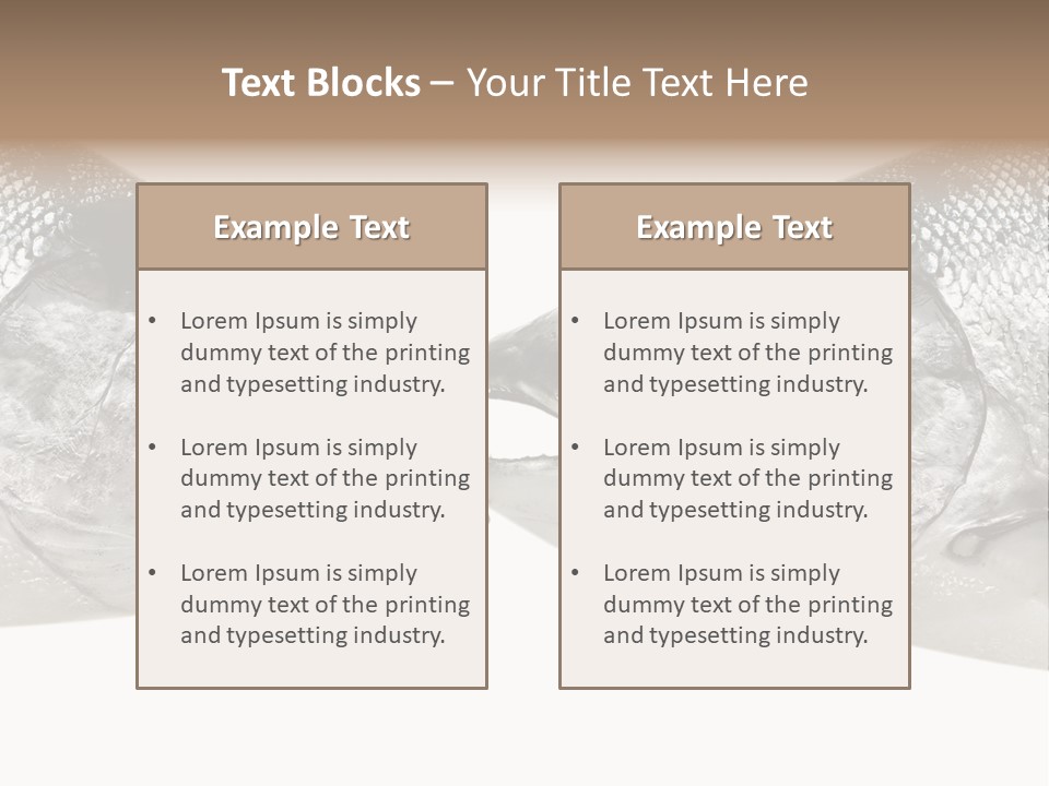 Fin Photography Hunting PowerPoint Template