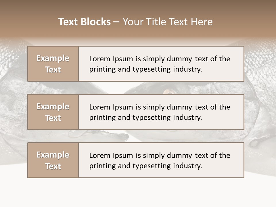Fin Photography Hunting PowerPoint Template