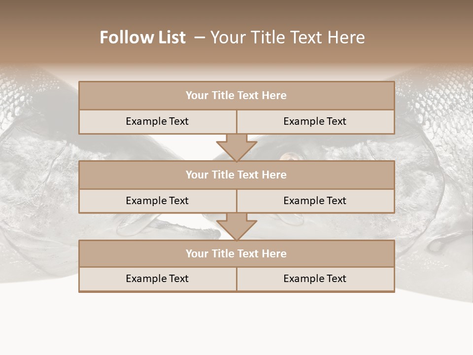 Fin Photography Hunting PowerPoint Template