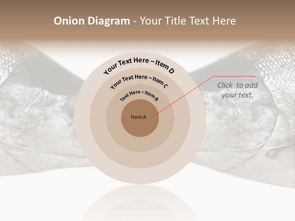 Fin Photography Hunting PowerPoint Template