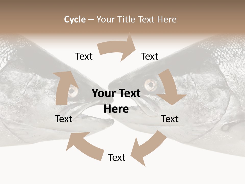 Fin Photography Hunting PowerPoint Template