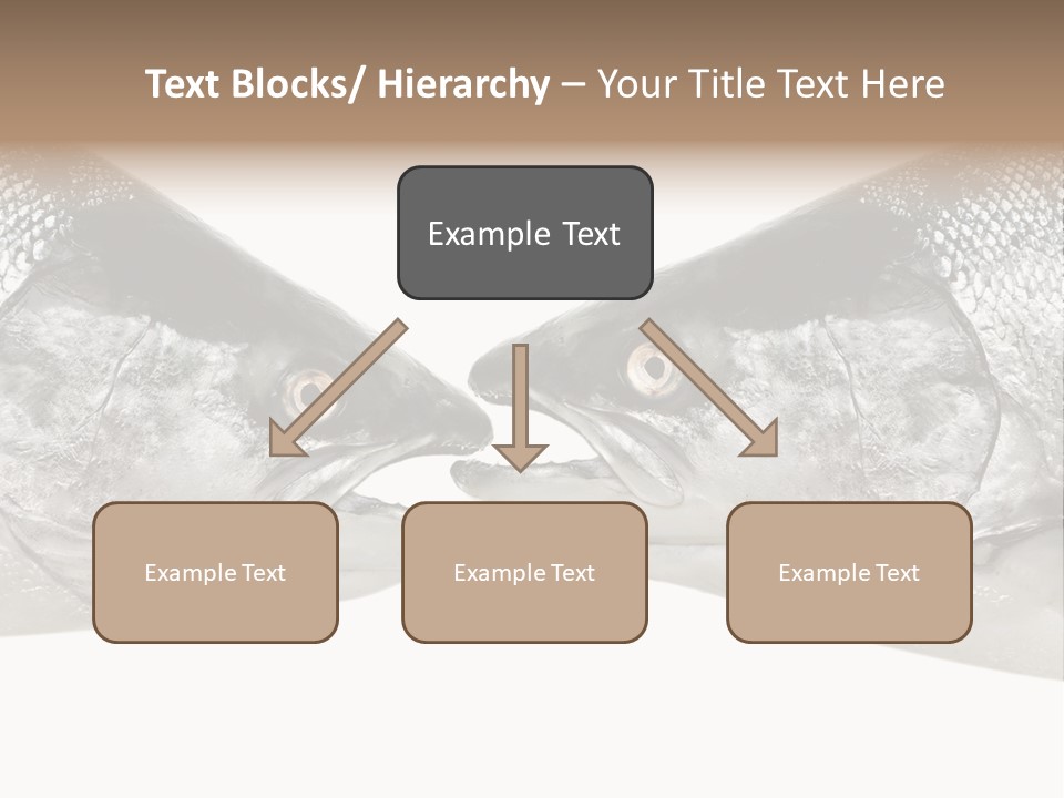 Fin Photography Hunting PowerPoint Template