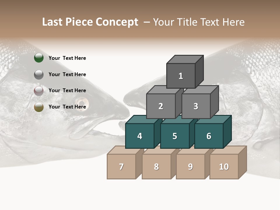 Fin Photography Hunting PowerPoint Template