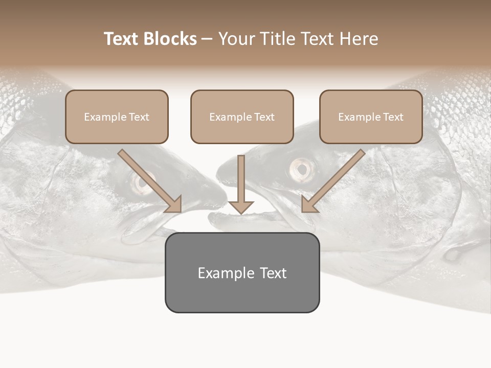 Fin Photography Hunting PowerPoint Template