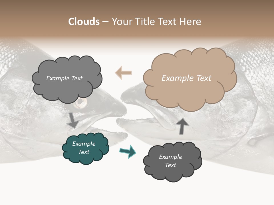 Fin Photography Hunting PowerPoint Template