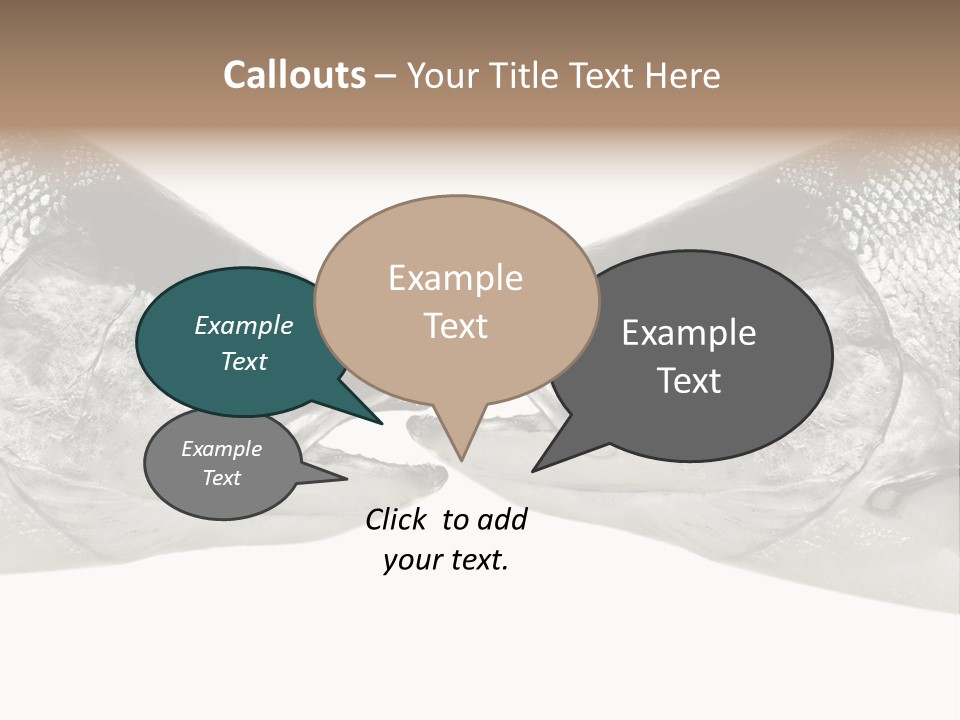 Fin Photography Hunting PowerPoint Template