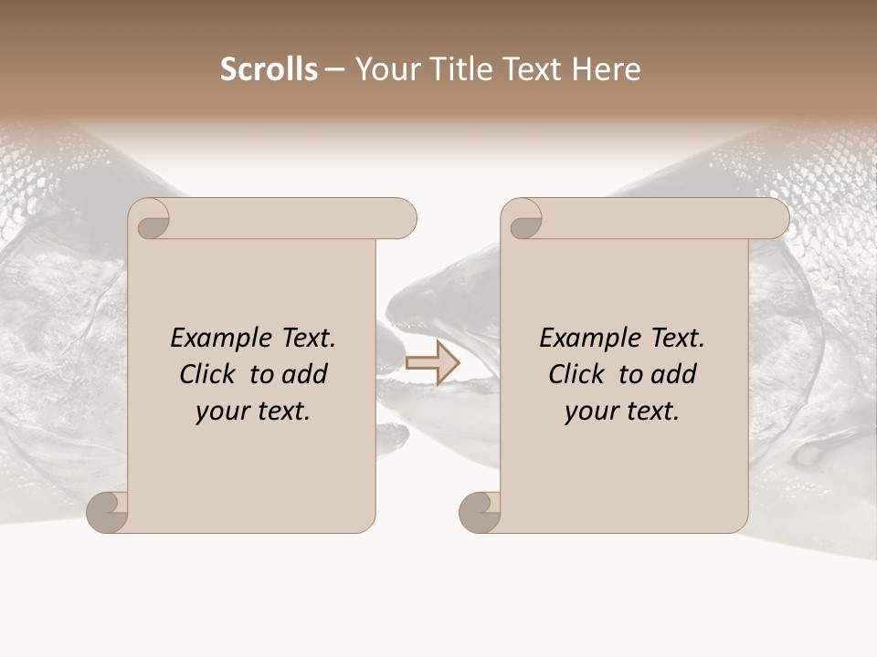 Fin Photography Hunting PowerPoint Template