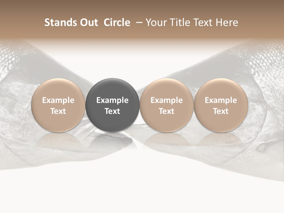 Fin Photography Hunting PowerPoint Template