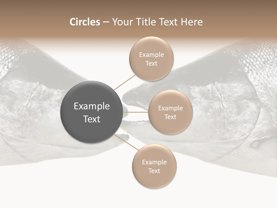 Fin Photography Hunting PowerPoint Template