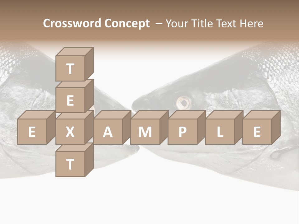 Fin Photography Hunting PowerPoint Template