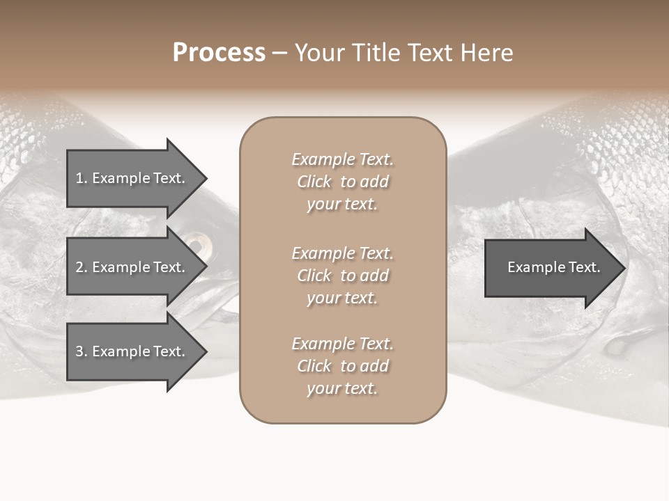 Fin Photography Hunting PowerPoint Template