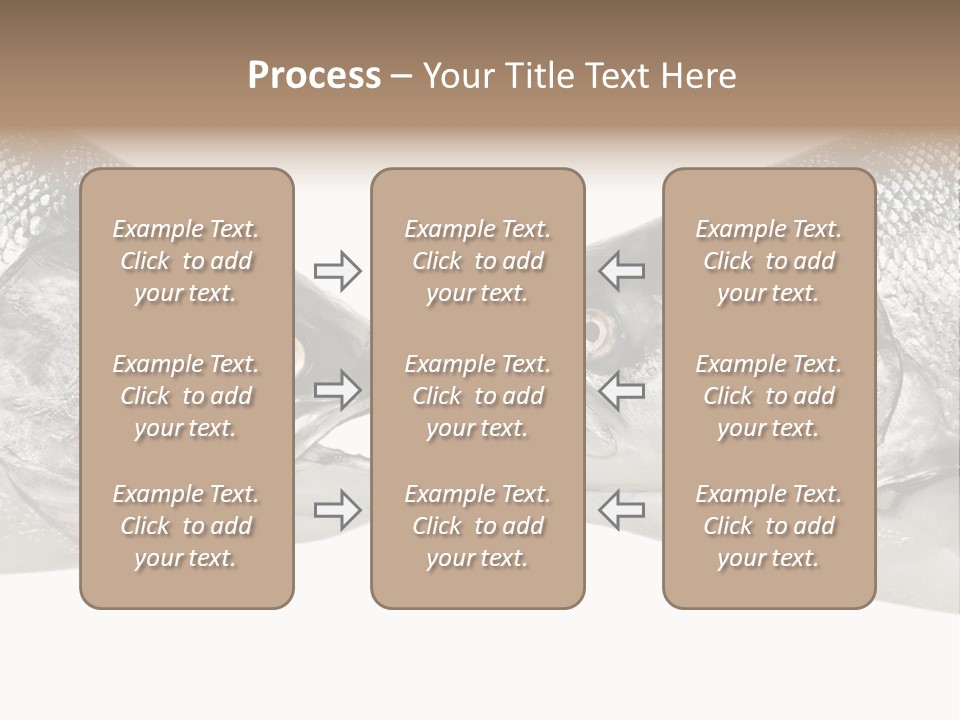 Fin Photography Hunting PowerPoint Template
