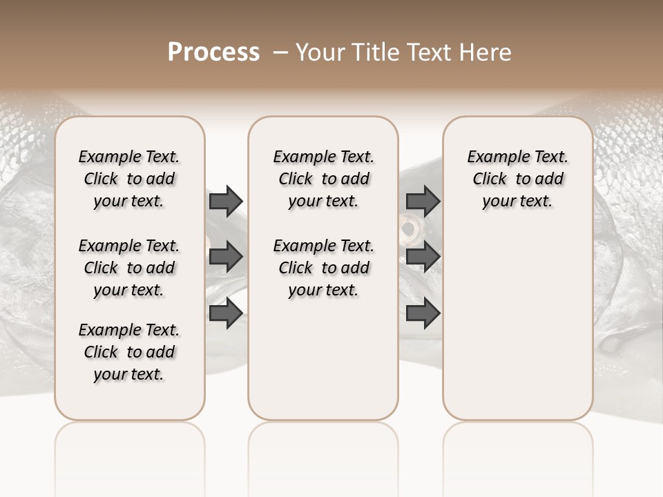 Fin Photography Hunting PowerPoint Template