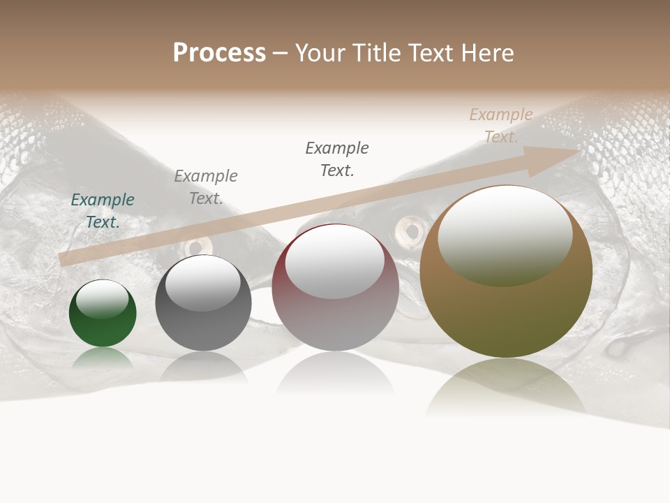 Fin Photography Hunting PowerPoint Template