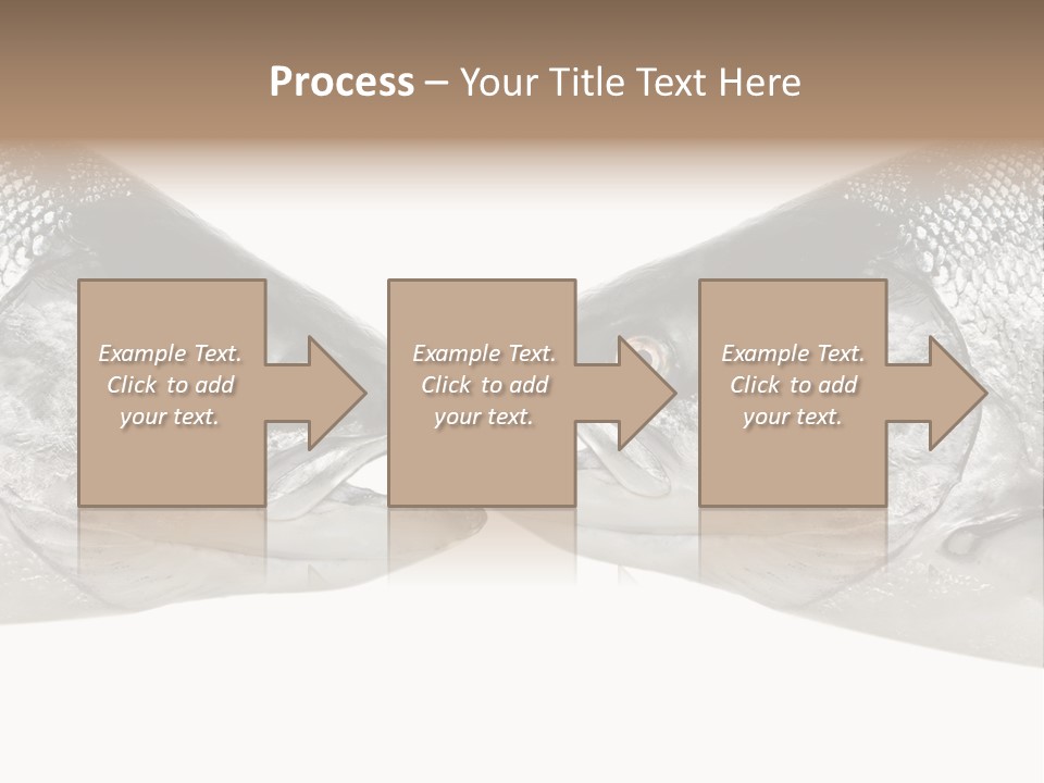 Fin Photography Hunting PowerPoint Template