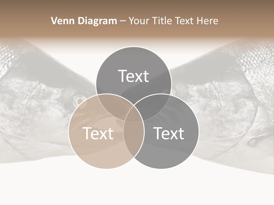 Fin Photography Hunting PowerPoint Template