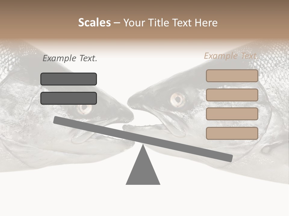 Fin Photography Hunting PowerPoint Template
