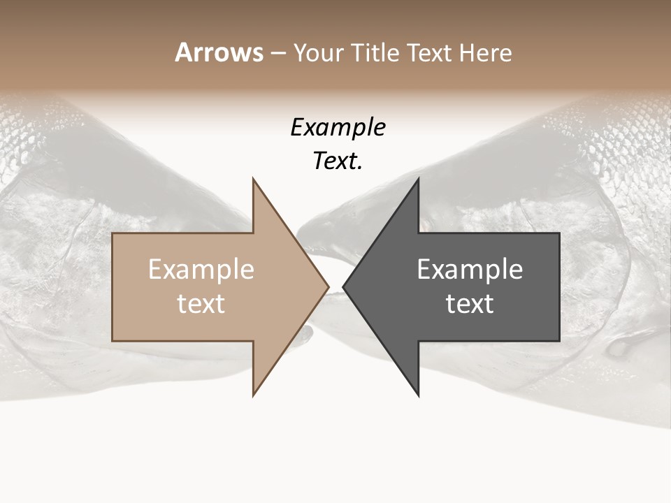 Fin Photography Hunting PowerPoint Template