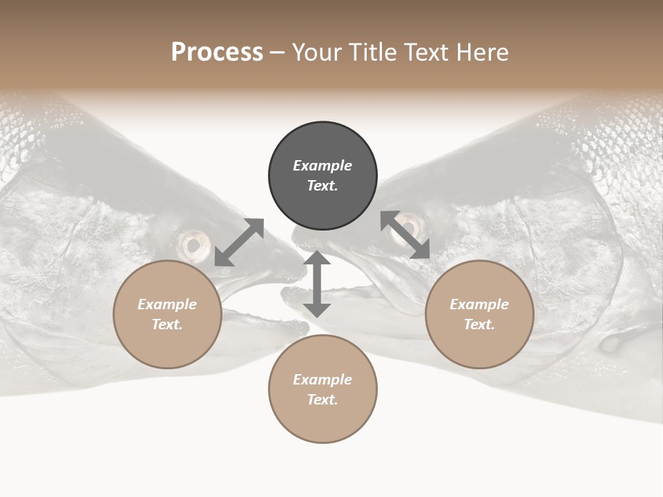 Fin Photography Hunting PowerPoint Template