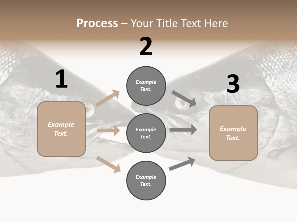 Fin Photography Hunting PowerPoint Template
