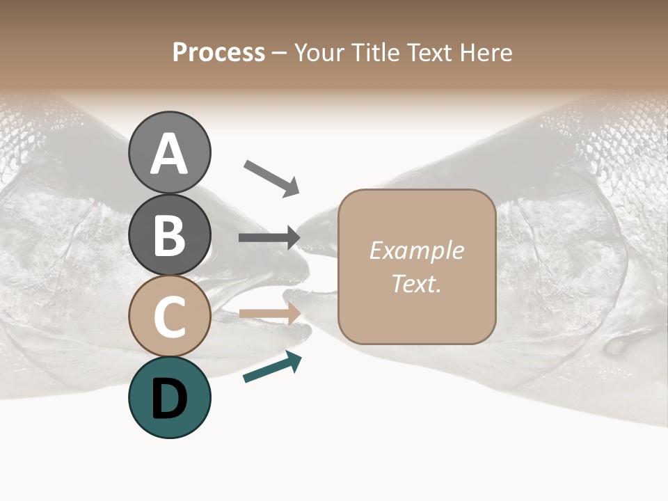 Fin Photography Hunting PowerPoint Template