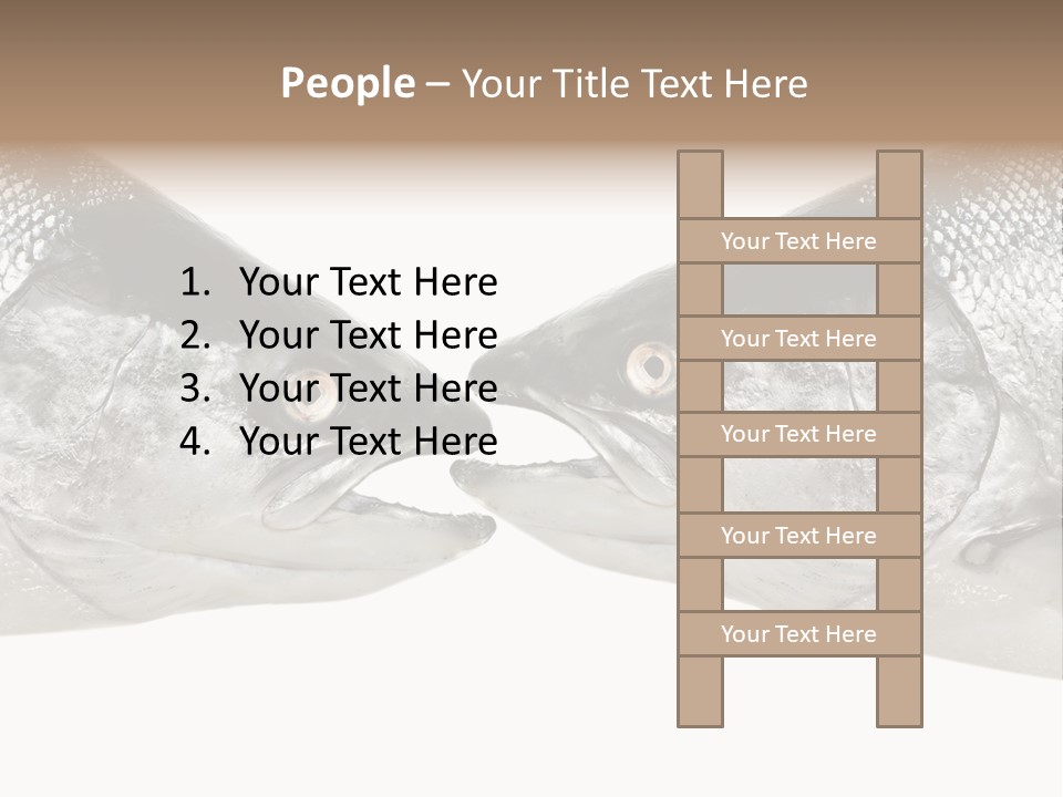 Fin Photography Hunting PowerPoint Template