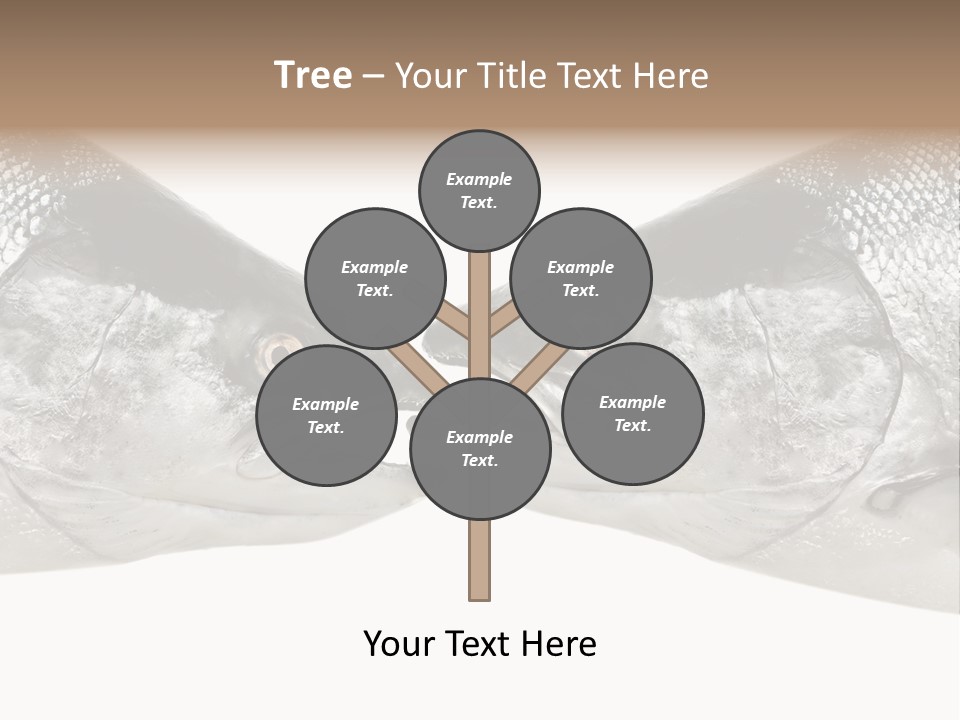 Fin Photography Hunting PowerPoint Template