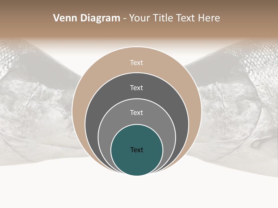Fin Photography Hunting PowerPoint Template