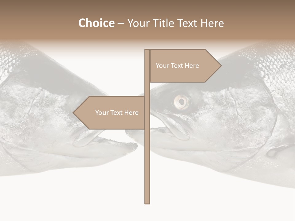Fin Photography Hunting PowerPoint Template