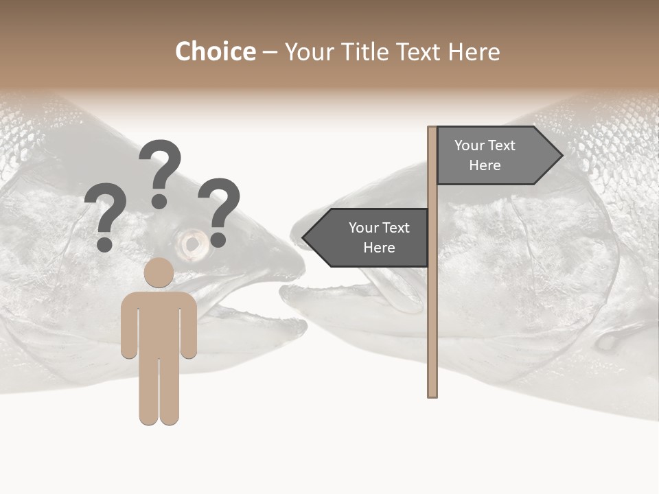 Fin Photography Hunting PowerPoint Template