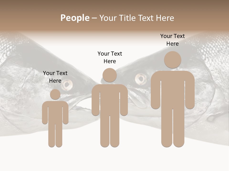 Fin Photography Hunting PowerPoint Template