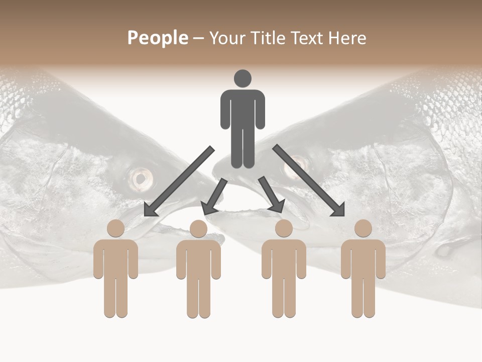 Fin Photography Hunting PowerPoint Template