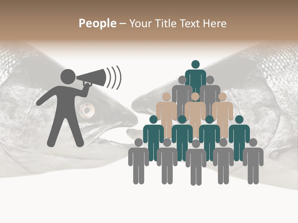 Fin Photography Hunting PowerPoint Template