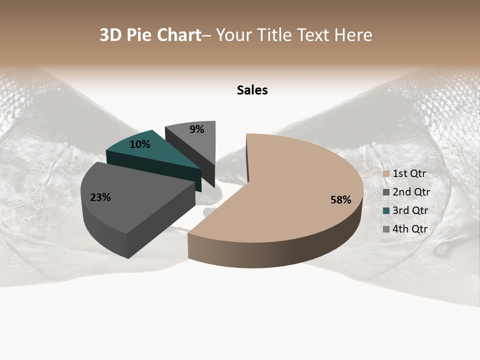 Fin Photography Hunting PowerPoint Template
