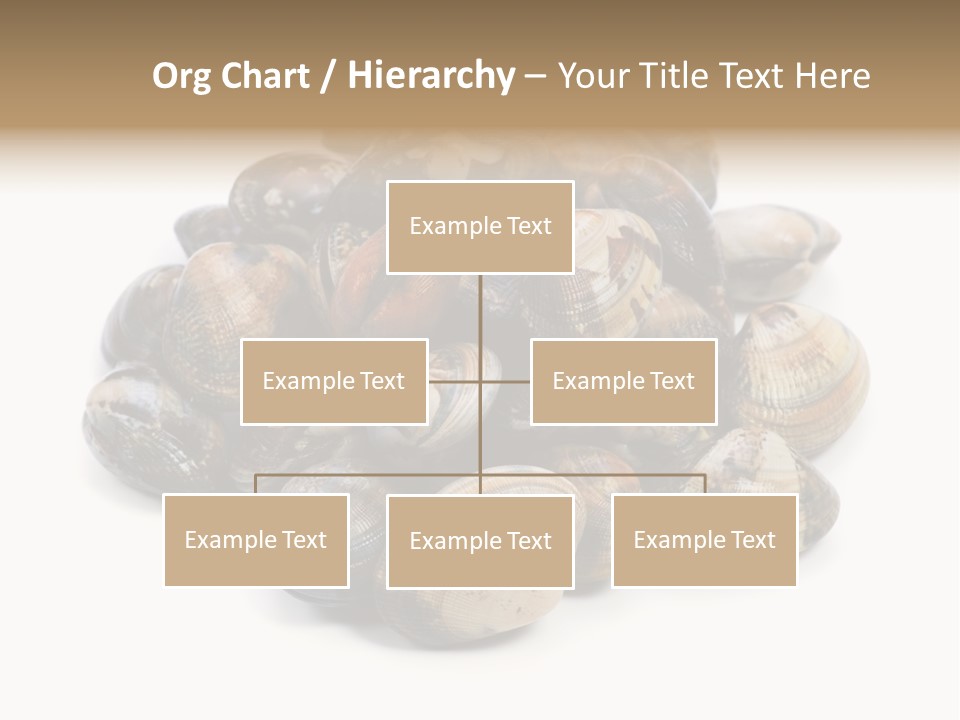 Food Prepared Eating PowerPoint Template