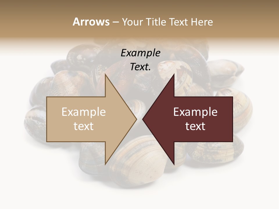 Food Prepared Eating PowerPoint Template