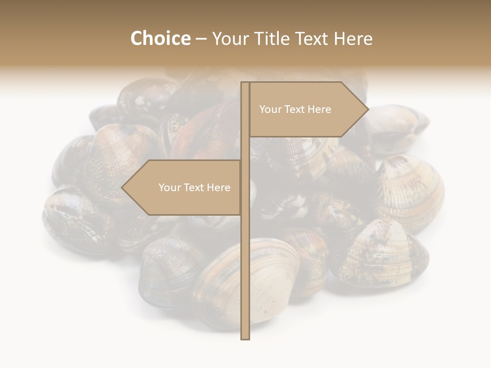 Food Prepared Eating PowerPoint Template