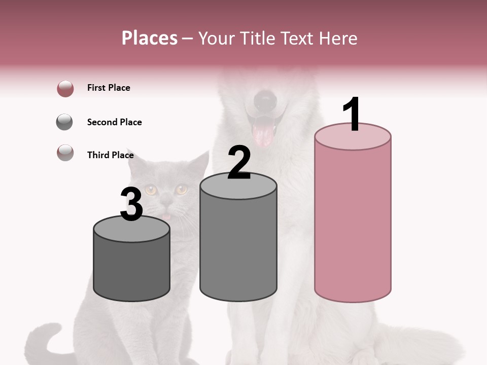 Cat Pair Posing PowerPoint Template